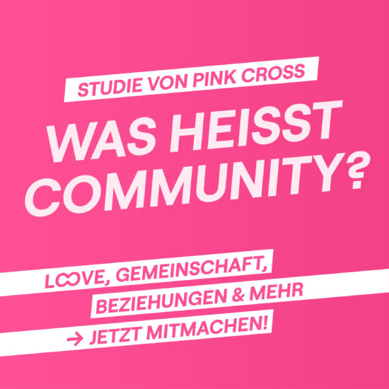 ðŸ�³ï¸�â€�ðŸŒˆSchwul, bi oder queer? Pink Cross needs you!